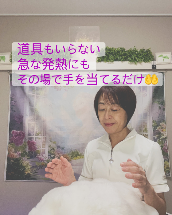 画像278